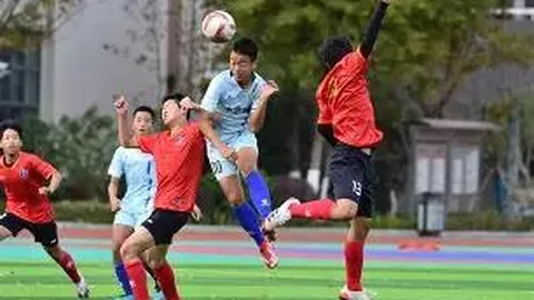 波胆秘境探秘：新手进阶宝典，全面攻略与盈利技巧深度解析